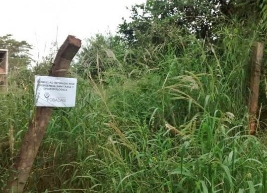 Dengue: En Posadas hubo más de diez mil denuncias por terrenos ...